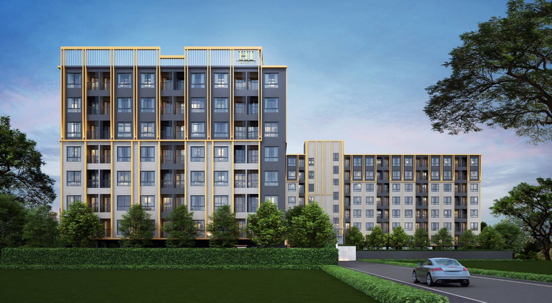 banner-project-details