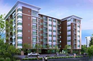 banner-project-details