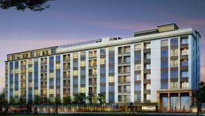 banner-project-details