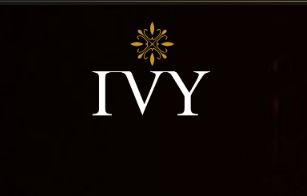 banner-project-details