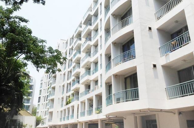 banner-project-details