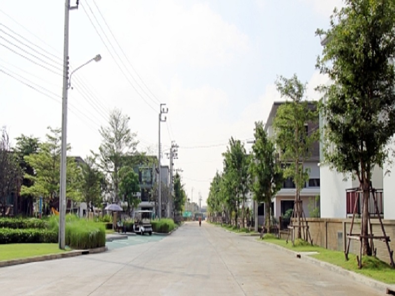 Golden-Prestige-Watcharapol-Sukhapiban-5