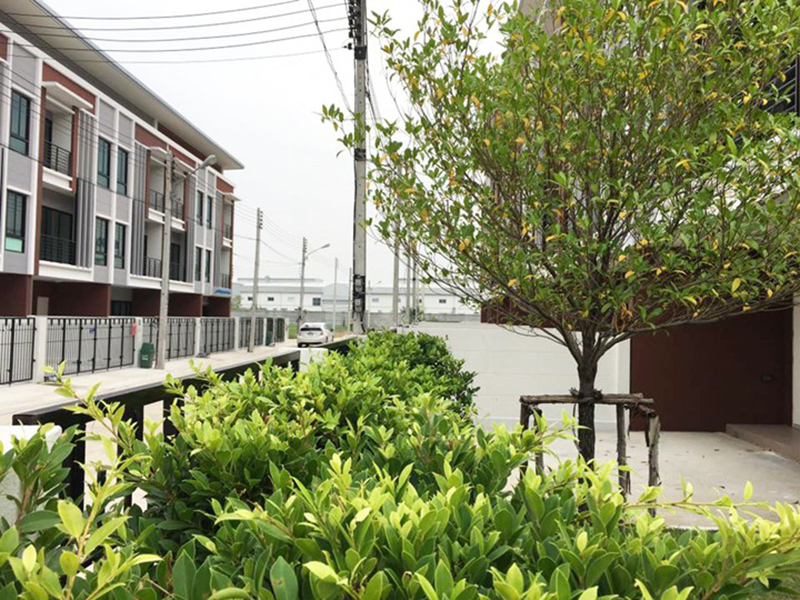 ศุภลักษณ์-โคซี่-เฮ้าส์-ปทุมธานี-นนทบุรี