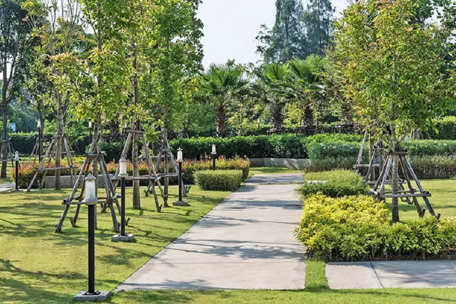 Pruksapan-Kradideaw-3