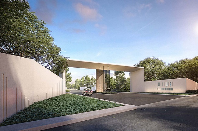 banner-project-details