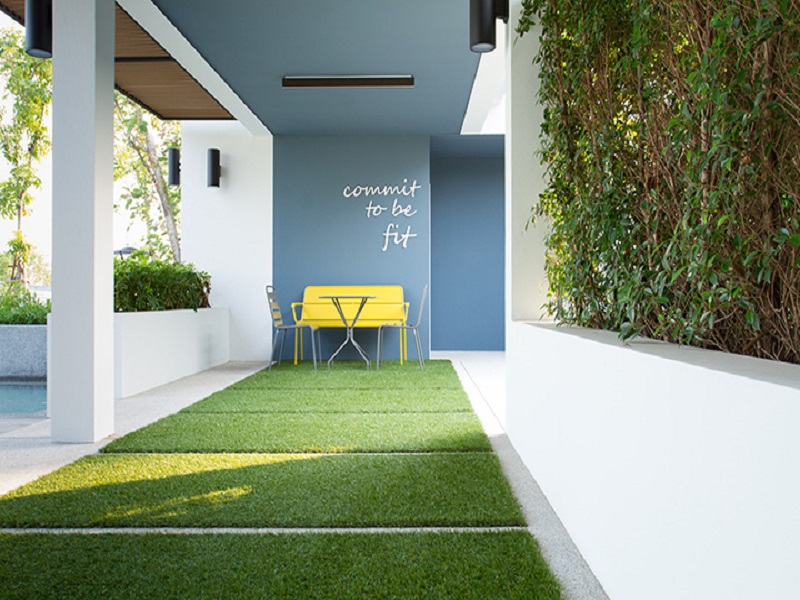 The-Colors-Petit-Wongwaen-Ratchaphruk