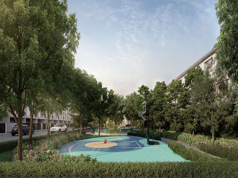 อัลติจูด-คราฟ-ไวบ์-บางนา