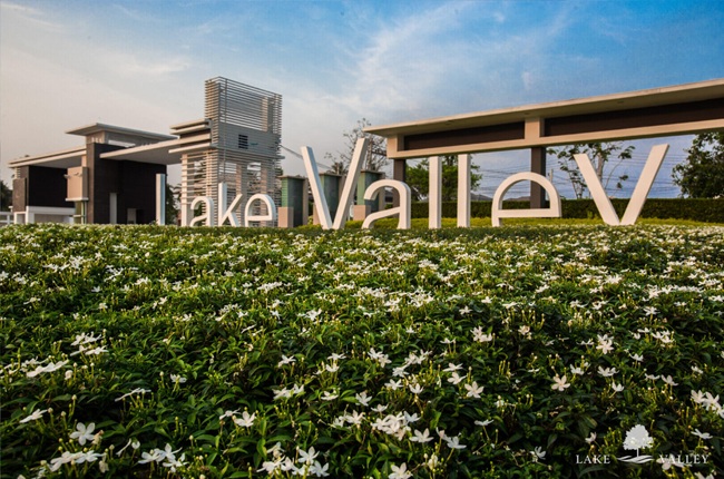 banner-project-details