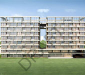 banner-project-details